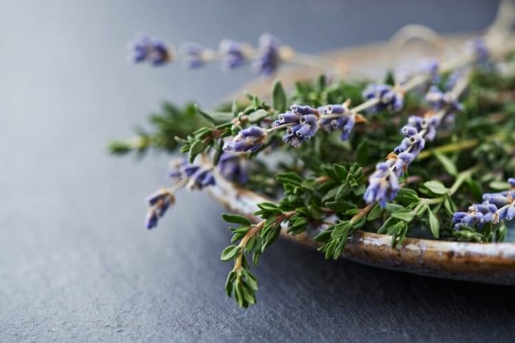 Herbs like lavender and thyme are natural air fresheners for your home (istockphoto)