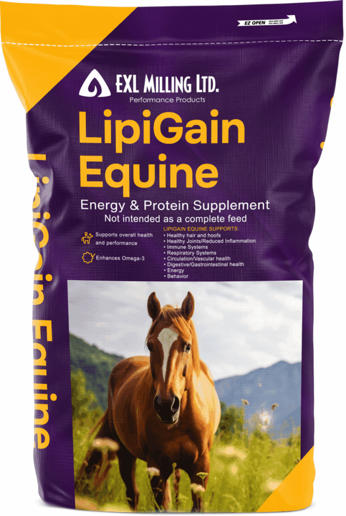 Improving Equine Health with LipiGain Equine